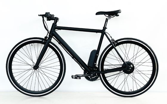 700C 350W 36V 8.8AH Aluminum Frame CE OEM Customized Europe Electric Single Speed Men Bicycle