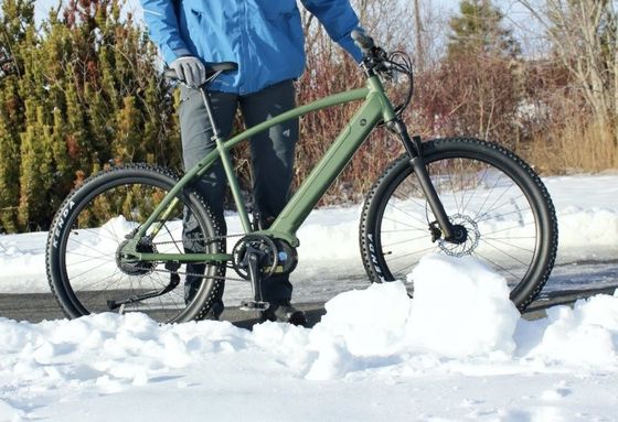 26&quot; 48V 500W Electric Beach Cruiser Bike with Shimano 7 Speeds and 14AH Lithium Battery
