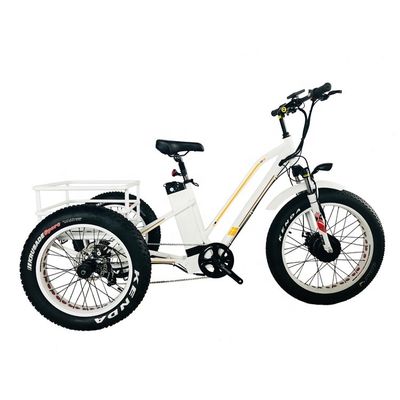 48V 14AH Rear Basket 4.0 Snow Tire Electric Cargo Tricycle with USA CE Certification