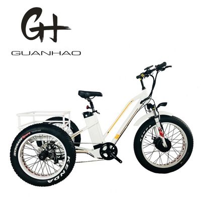 48V 14AH Rear Basket 4.0 Snow Tire Electric Cargo Tricycle with USA CE Certification