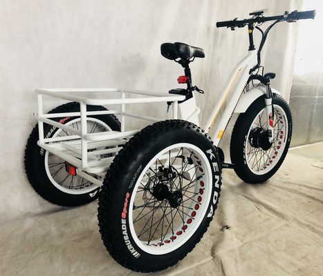 48V 14AH Rear Basket 4.0 Snow Tire Electric Cargo Tricycle with USA CE Certification