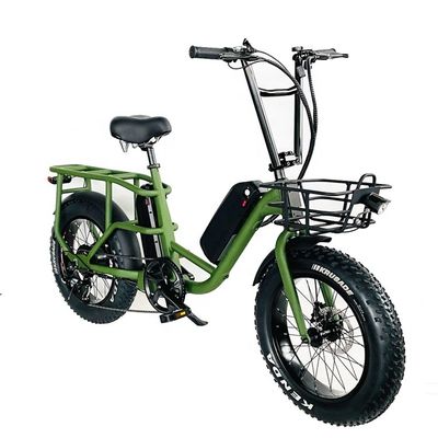 20&quot; 48V 34AH Lithium Battery 1000W 50KM/H Aluminum Frame 7 Speeds Cargo Electric Dual Battery hybrid Fat Snow Tire 4.0 Bicycle