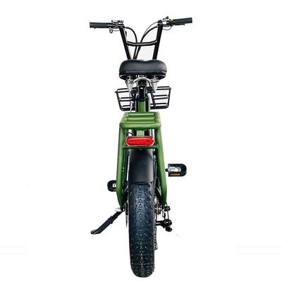20&quot; 48V 34AH Lithium Battery 1000W 50KM/H Aluminum Frame 7 Speeds Cargo Electric Dual Battery hybrid Fat Snow Tire 4.0 Bicycle
