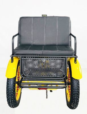 US Fat Tire Electric Passenger Tricycle with 1000W Bafang Motor and Aluminum Pedal