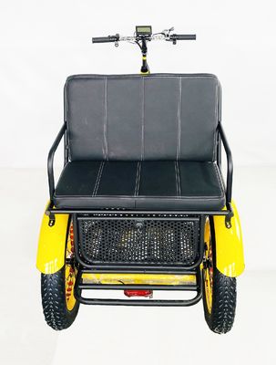 US Fat Tire Electric Passenger Tricycle with 1000W Bafang Motor and Aluminum Pedal