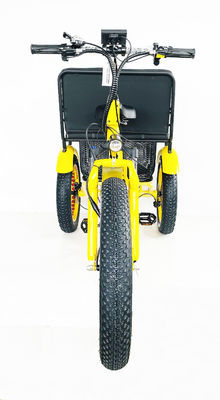 24-Inch Snow Fat Tire 4.0 Electric Rickshaw Tricycle with 48V 750W Motor and Rear Seat