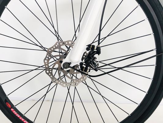 28inch City Bike 36V250W Lithium Battery 14AH EN15194 EN15194 for Women Lady USA Europe