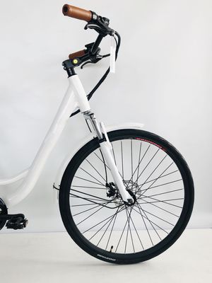 USA USD390 500W 48V 14AH Electric Lady Bicycle with 7 Speed Gears and LCD Display