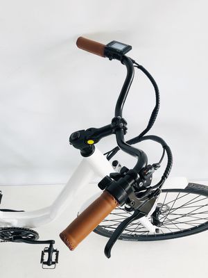 USA USD390 500W 48V 14AH Electric Lady Bicycle with 7 Speed Gears and LCD Display