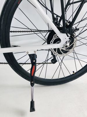 USA USD390 500W 48V 14AH Electric Lady Bicycle with 7 Speed Gears and LCD Display