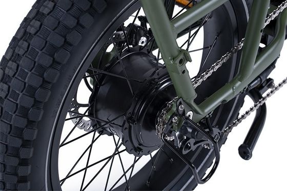 48V 1000W 32MPH Electric Hybrid Cargo Bike with 20&quot;4.0 Fat Tire and Torque of 80-90 Nm