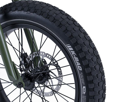 48V 1000W 32MPH Electric Hybrid Cargo Bike with 20&quot;4.0 Fat Tire and Torque of 80-90 Nm