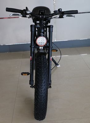 20&quot;*4.0 Electric Mountain Bike 48V1000W 17AH Lithium Big Tire Snow Bike Speed 50KM/H