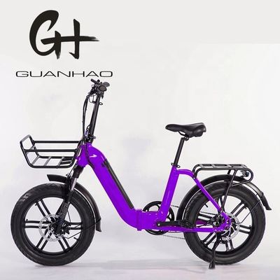 750W Magwheel Motor Thru Aluminum Folding Frame Suspension Fork Electric Folding Bike