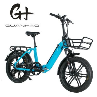 750W Magwheel Motor Thru Aluminum Folding Frame Suspension Fork Electric Folding Bike