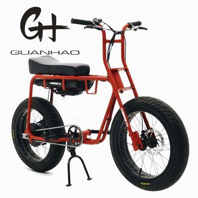 Disc Brake 20 Inch 750w 1000w Dual Battery Electric Fat Tire Mountain Bike Vintage 2 Seat Beach Cruiser Max 50KM/H ebike