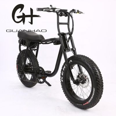 Disc Brake 20 Inch 750w 1000w Dual Battery Electric Fat Tire Mountain Bike Vintage 2 Seat Beach Cruiser Max 50KM/H ebike