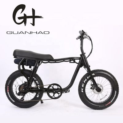 Disc Brake 20 Inch 750w 1000w Dual Battery Electric Fat Tire Mountain Bike Vintage 2 Seat Beach Cruiser Max 50KM/H ebike