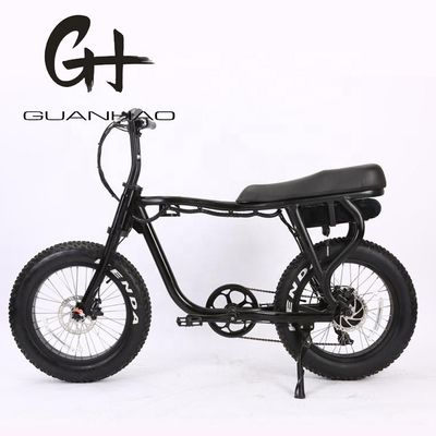 Disc Brake 20 Inch 750w 1000w Dual Battery Electric Fat Tire Mountain Bike Vintage 2 Seat Beach Cruiser Max 50KM/H ebike