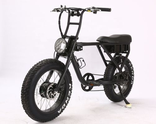 Disc Brake 20 Inch 750w 1000w Dual Battery Electric Fat Tire Mountain Bike Vintage 2 Seat Beach Cruiser Max 50KM/H ebike
