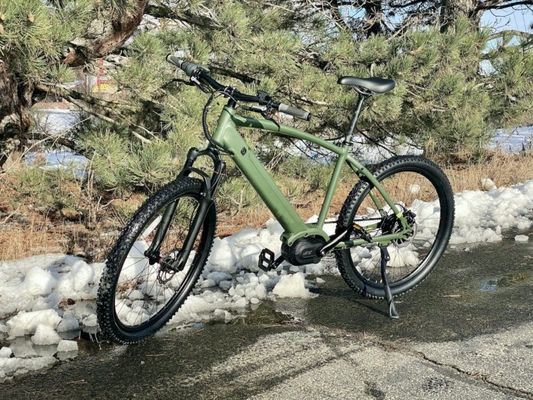 36V 350W EN15194 2007 Single Speed Electric Bicycle with 10.41AH Lithium Battery and PAS