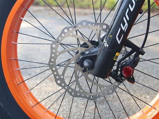 1000W 14AH Full Suspension Frame 20&quot;x4.0 Fat Tire Big Flat Snow Tire Disc Brake Ebike