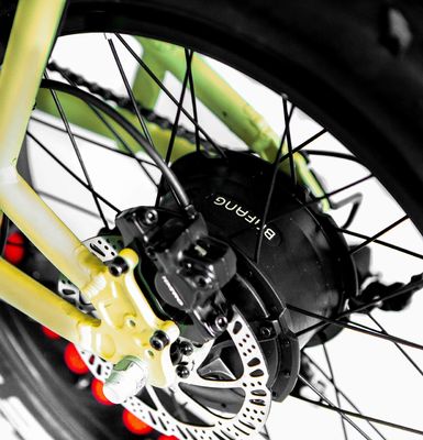 Aluminum Alloy Frame 48V34AH 1000W Fat Tire Ebike with Dual Batteries and Two Baskets
