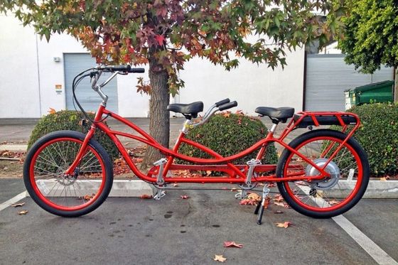 Max Speed 30-50Km/h 500W 26&quot;*2.3 LCD Display Tandem Electric Bike for Two People