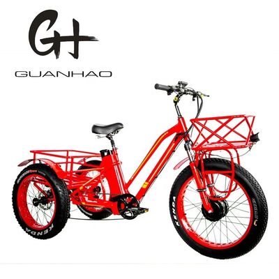 48V 750W Front Motor 24&quot; Adult Electric Tricycle with 17AH Lithium Battery and Fat Snow Tires