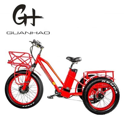 48V 750W Front Motor 24&quot; Adult Electric Tricycle with 17AH Lithium Battery and Fat Snow Tires