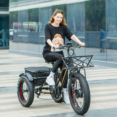 48V 750W Front Motor 24&quot; Adult Electric Tricycle with 17AH Lithium Battery and Fat Snow Tires