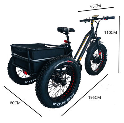 48V 750W Front Motor 24&quot; Adult Electric Tricycle with 17AH Lithium Battery and Fat Snow Tires
