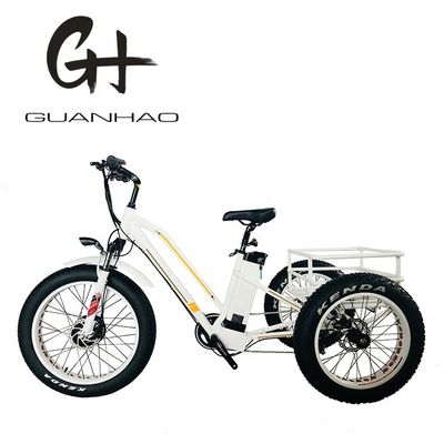 Open Body Type 24inch 20inch BAFANG Front Motor Electric Tricycle for Adults 48V21AH 750W