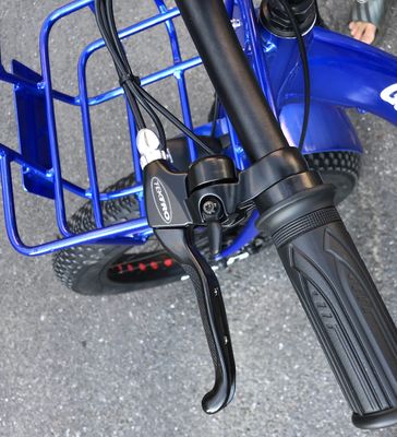 Driving Type Electric 24&quot;x4.0 Fat Tire Electric Cargo Tricycle with 48V 1000w Motor