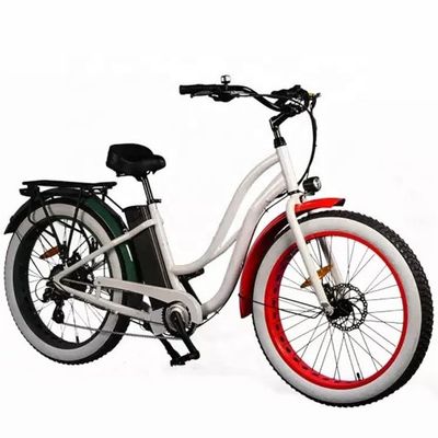 26&quot; Women Frame 17AH Lithium Battery 1000W Electric Cargo 48V Electric City Bicycle