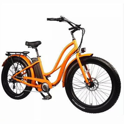 26&quot; Women Frame 17AH Lithium Battery 1000W Electric Cargo 48V Electric City Bicycle