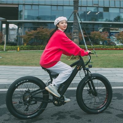 750W Bafang Motor Electric Mountain Bike with Shimanu 7 Speed Gears and C 3.0 Tires