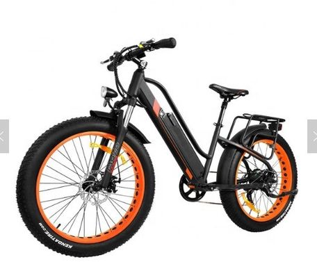 750W 50KM/H A2B CE Chinese OEM 48V Motor Fat Tire Electric Mountain Bicycle Good Nice