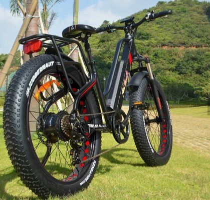 750W 50KM/H A2B CE Chinese OEM 48V Motor Fat Tire Electric Mountain Bicycle Good Nice