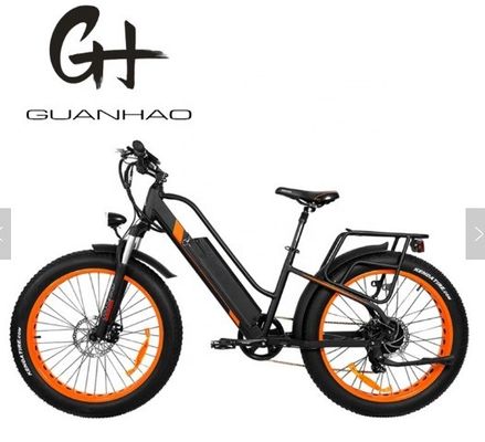 750W 50KM/H A2B CE Chinese OEM 48V Motor Fat Tire Electric Mountain Bicycle Good Nice