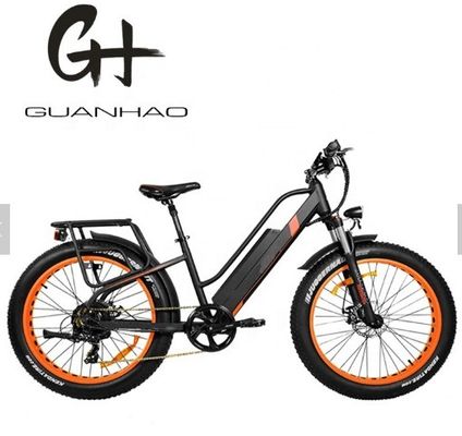 750W 50KM/H A2B CE Chinese OEM 48V Motor Fat Tire Electric Mountain Bicycle Good Nice