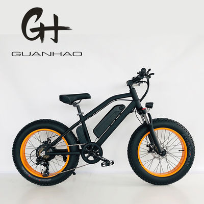 20inch Electric Mini Motorcycle for Kids UK CE Certified LCD Display and Shimano 7 Speeds
