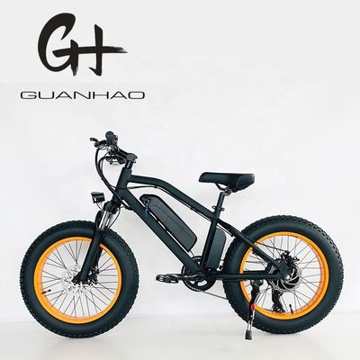20inch Electric Mini Motorcycle for Kids UK CE Certified LCD Display and Shimano 7 Speeds