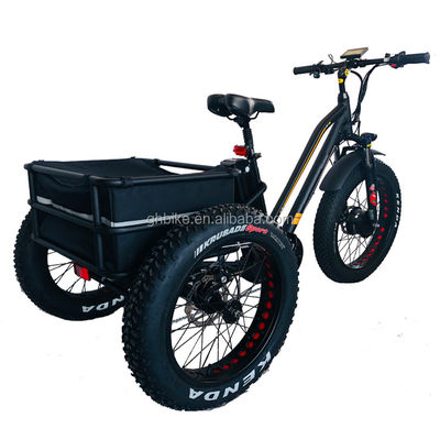 USA 24&quot;20&quot; Motorized Bafang 8fun 750W 48V 17a Adult 3 Wheels Cargo Ebike Electric Tricycle