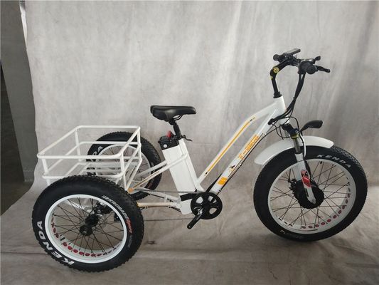 USA 24&quot;20&quot; Motorized Bafang 8fun 750W 48V 17a Adult 3 Wheels Cargo Ebike Electric Tricycle