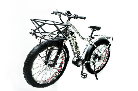 Disc Brake 26inch 1000W Electric Mountain Bike with 17AH Battery and BaFang M620 Motor