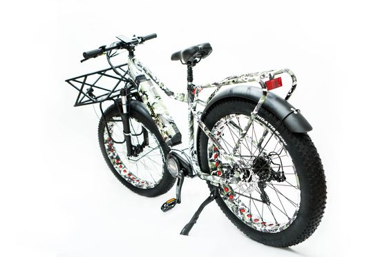 Disc Brake 26inch 1000W Electric Mountain Bike with 17AH Battery and BaFang M620 Motor