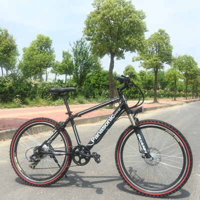 Hidden Battery Electric Mountain Bike with Steel Fork and 21 Speed Gears