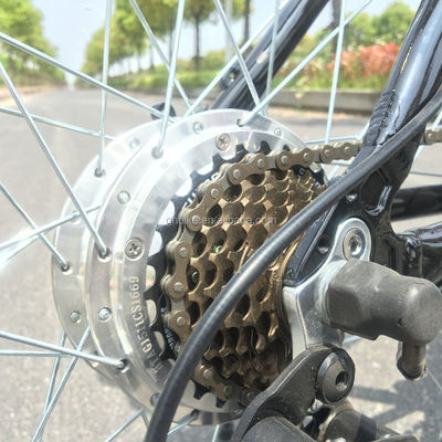 Hidden Battery Electric Mountain Bike with Steel Fork and 21 Speed Gears