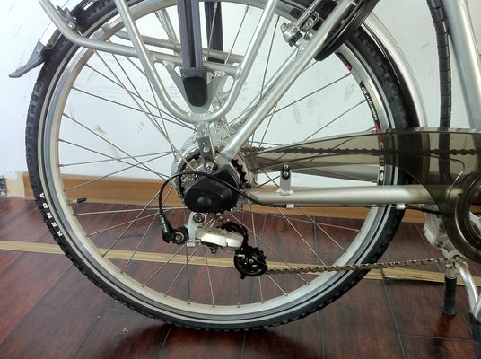 Rear Hub Motor 700C EN15194 Europe CE 36V 250W 20KM/H Women Dutch Ladies Electric Bike